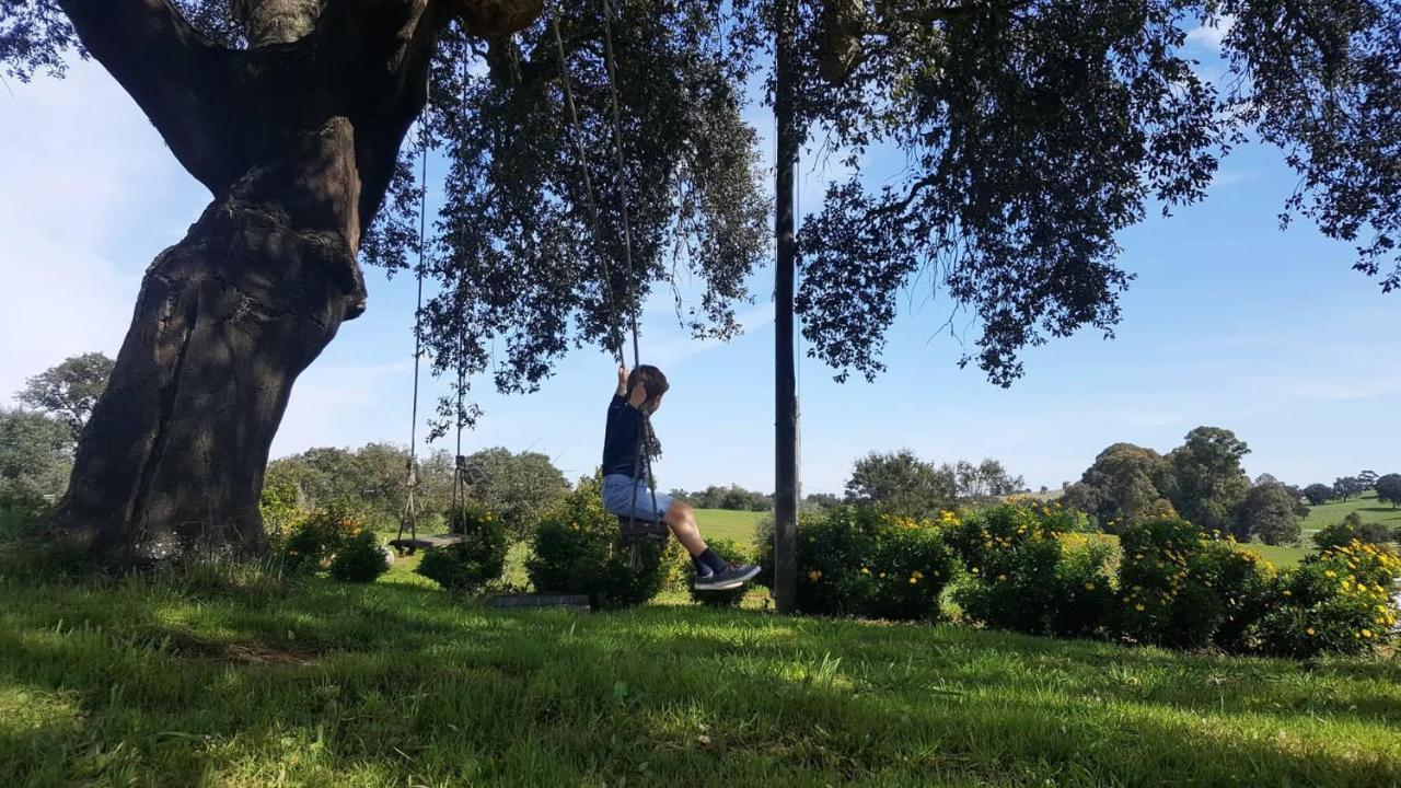 Herdade Reguenguinho Cercal do Alentejo المظهر الخارجي الصورة