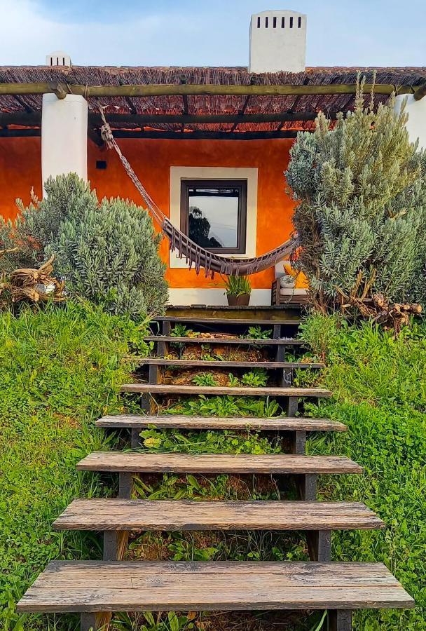 Herdade Reguenguinho Cercal do Alentejo المظهر الخارجي الصورة